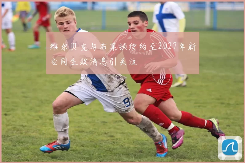 维尔贝克与布莱顿续约至2027年新合同生效消息引关注